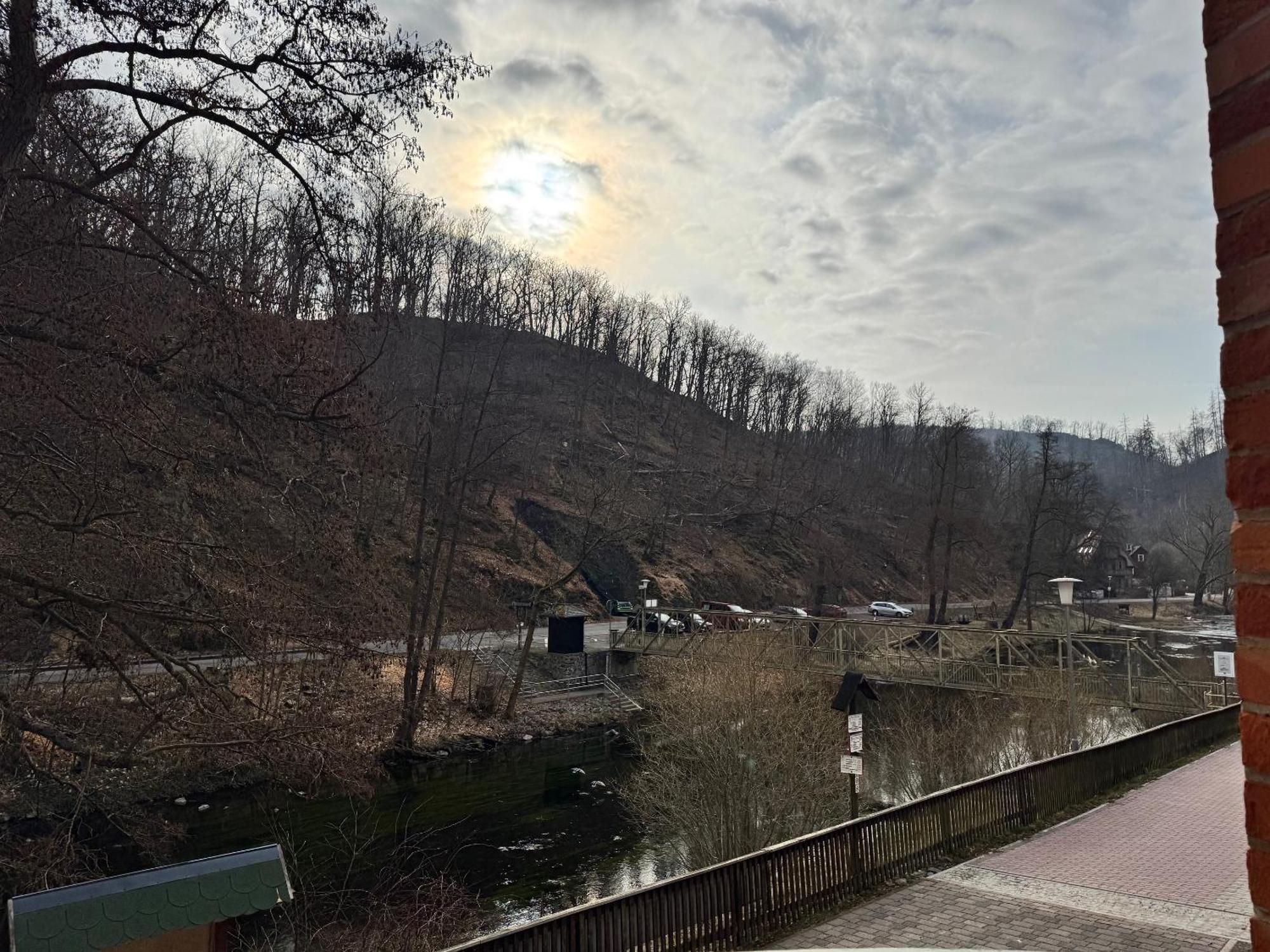 Hotel Bodeblick 塔勒 外观 照片